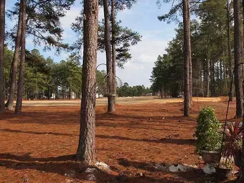 153 Laurel Oak Ln, Pinebluff, NC 28373 photo 22