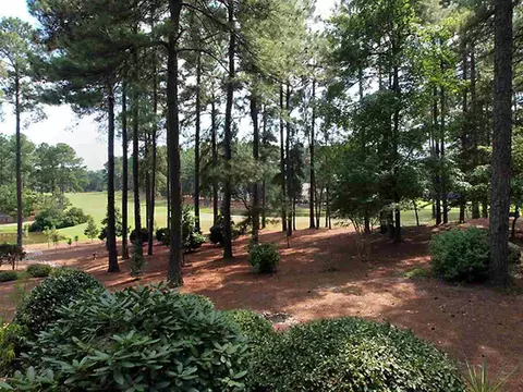 47 Glasgow Dr, Pinehurst, NC 28374 photo 23