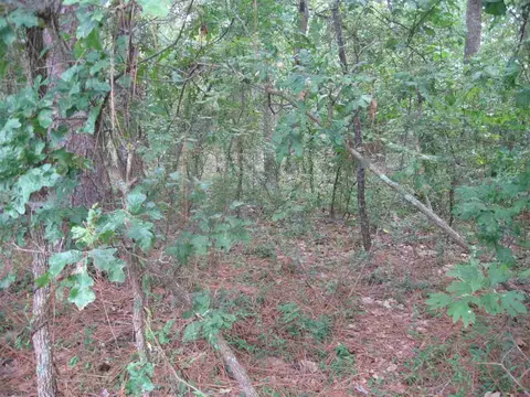 1015 Morganton Rd, Pinehurst, NC 28374 photo 7