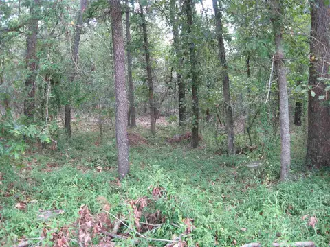 1015 Morganton Rd, Pinehurst, NC 28374 photo 3