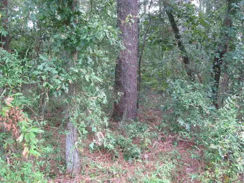 1015 Morganton Rd, Pinehurst, NC 28374 photo 2
