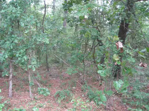 1015 Morganton Rd, Pinehurst, NC 28374 photo 5
