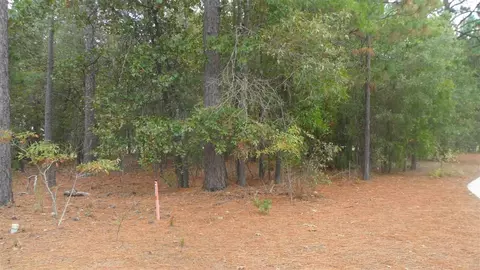 172 National Dr, Pinehurst, NC 28374 photo 2
