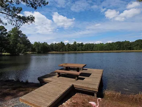 260 Firetree Ln, West End, NC 27376 photo 2