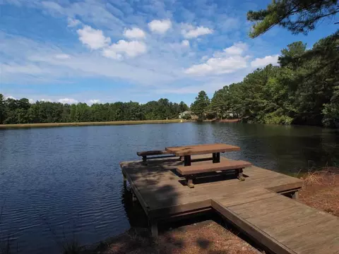 260 Firetree Ln, West End, NC 27376 photo 3