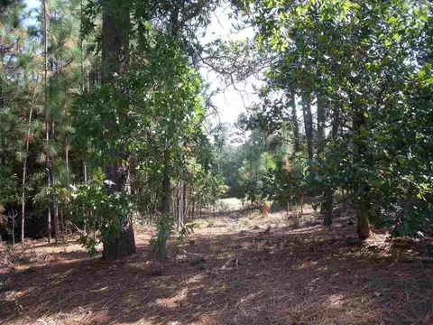 60 Royal Dublin Dr, Pinehurst, NC 28374 photo 4