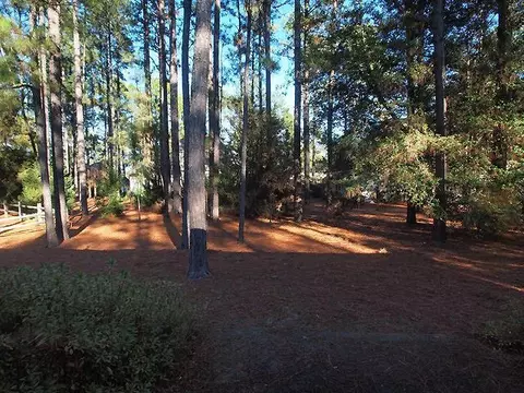 385 Sugar Pine Dr, Pinehurst, NC 28374 photo 18