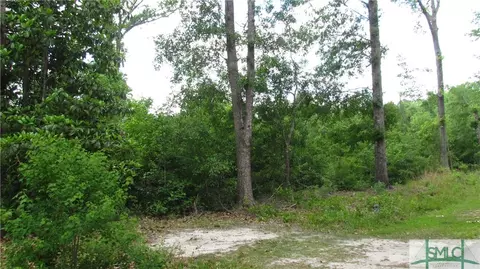 357 Sand Dollar Dr, Fleming, GA 31320 photo 3