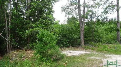 357 Sand Dollar Dr, Fleming, GA 31320 photo 1