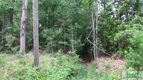 357 Sand Dollar Dr, Fleming, GA 31320 photo 2