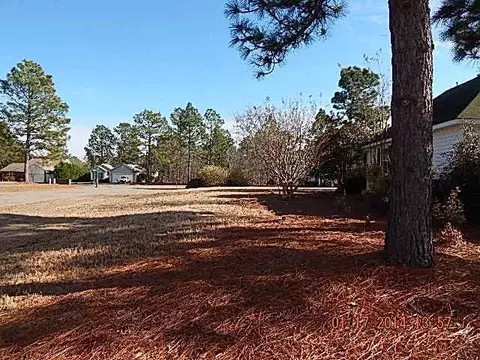 272 Firetree Ln, West End, NC 27376 photo 20
