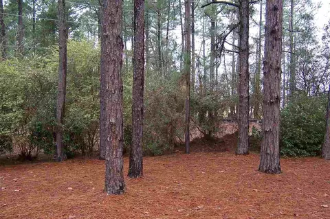 3 Travis Ln, Pinehurst, NC 28374 photo 22