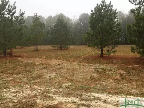 229 Rivercrest, Brooklet, GA 30415 photo 3
