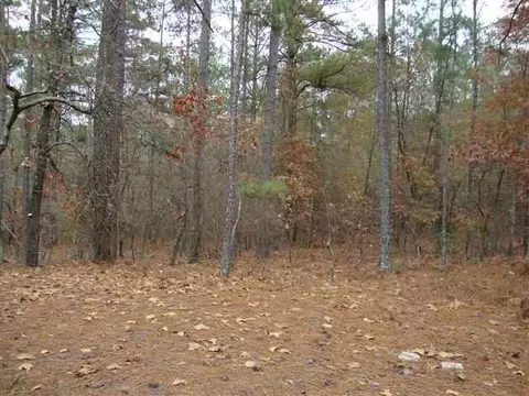 365 Jackson Springs Rd, Foxfire, NC 27281 photo 5