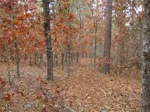 365 Jackson Springs Rd, Foxfire, NC 27281 photo 15