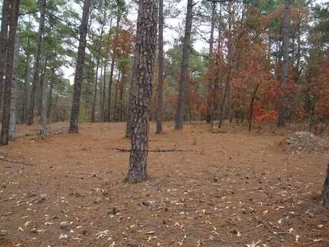 365 Jackson Springs Rd, Foxfire, NC 27281 photo 6