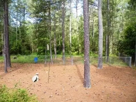 125 S Blueberry St, Pinebluff, NC 28373 photo 23