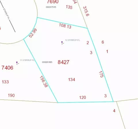 12 Stirrup Pl, Pinehurst, NC 28374 photo 17