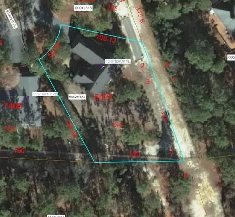 12 Stirrup Pl, Pinehurst, NC 28374 photo 16