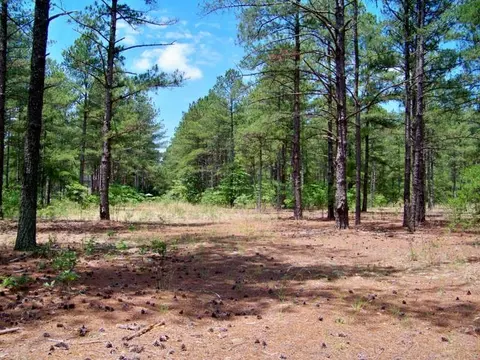 103 Linden Trl, Pinehurst, NC 28374 photo 6