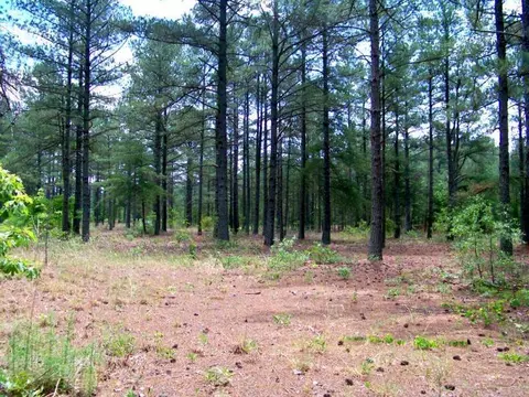 103 Linden Trl, Pinehurst, NC 28374 photo 2