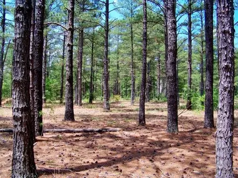 103 Linden Trl, Pinehurst, NC 28374 photo 3