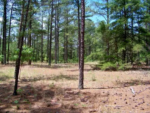 103 Linden Trl, Pinehurst, NC 28374 photo 4