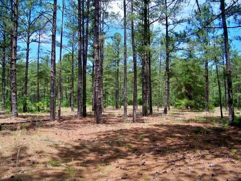 103 Linden Trl, Pinehurst, NC 28374 photo 5