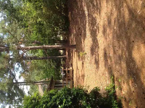 55 Gingham Ln, Pinehurst, NC 28374 photo 12