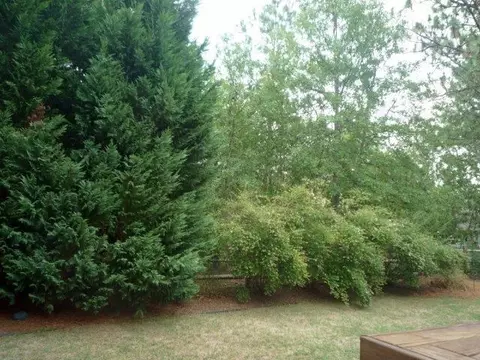 12 Carter Ln, Pinehurst, NC 28374 photo 9