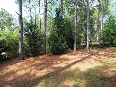 435 Spring Lake Dr, Pinehurst, NC 28374 photo 24