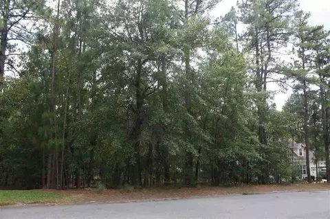 8 Brunswick Ln, Pinehurst, NC 28374 photo 4