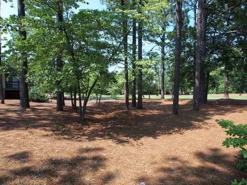 95 Brandon Trl, Pinehurst, NC 28374 photo 18
