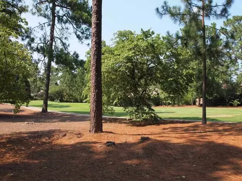 95 Brandon Trl, Pinehurst, NC 28374 photo 5