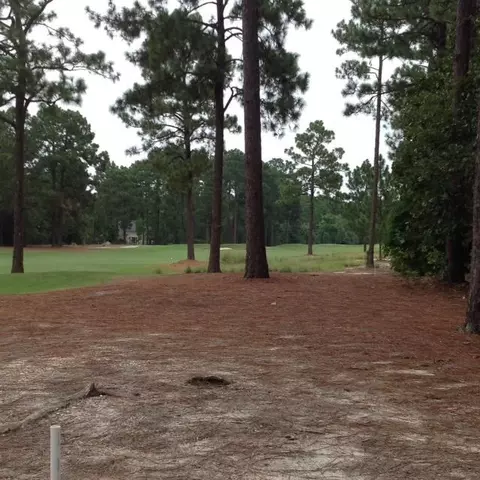 45 Leven Links Ln, Pinehurst, NC 27376 photo 4