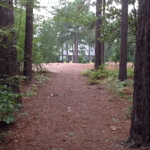 45 Leven Links Ln, Pinehurst, NC 27376 photo 3