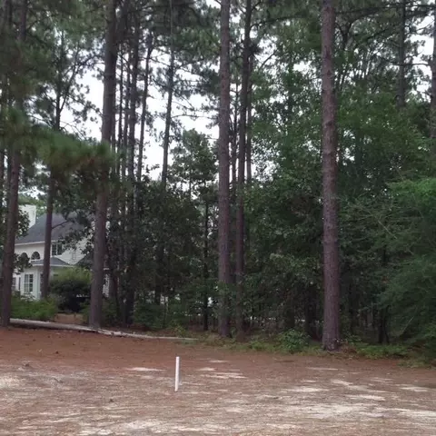45 Leven Links Ln, Pinehurst, NC 27376 photo 5