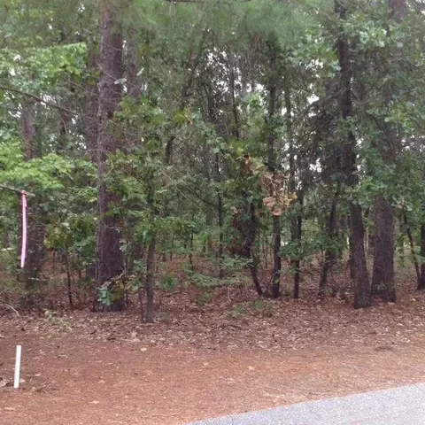 45 Leven Links Ln, Pinehurst, NC 27376 photo 2