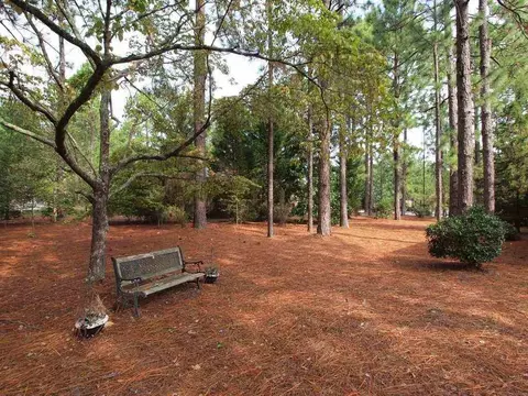 195 Sugar Pine Dr, Pinehurst, NC 28374 photo 24