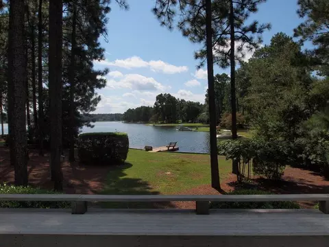 175 Firetree Ln, West End, NC 27376 photo 20