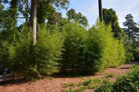 360 Quail Run, Pinehurst, NC 28374 photo 7