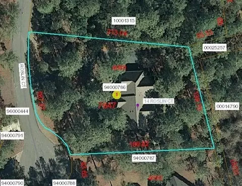 14 Roslin Ct, Pinehurst, NC 28374 photo 24