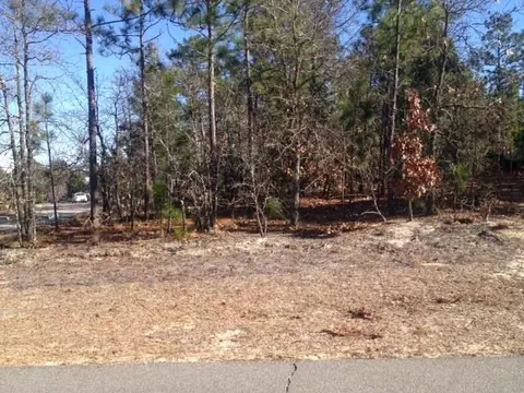 144 Juniper Creek Blvd, Pinehurst, NC 28374 photo 2