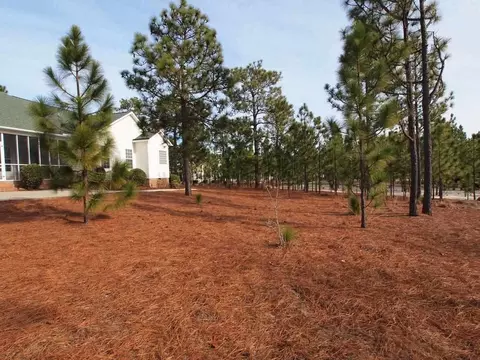 4 Randolph Ct, Pinehurst, NC 28374 photo 23