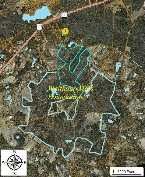 231 Aiken Rd, Vass, NC 28394 photo 5