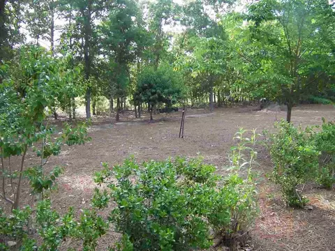 1395 Burning Tree Rd, Pinehurst, NC 28374 photo 1