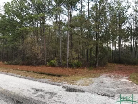 196 Sagepointe Rd, Guyton, GA 31312 photo 2