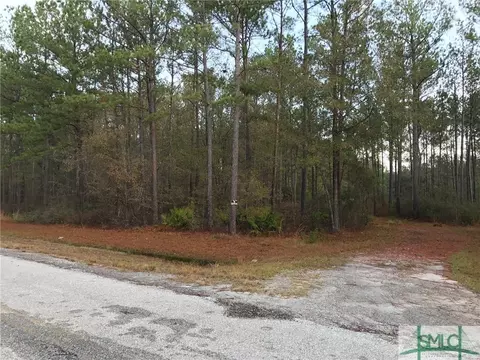 196 Sagepointe Rd, Guyton, GA 31312 photo 1