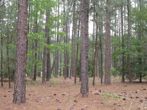 25 Edinburgh Ln, Pinehurst, NC 28374 photo 9