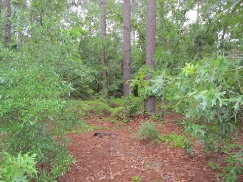 20 Mcleod Rd, Pinehurst, NC 28374 photo 4
